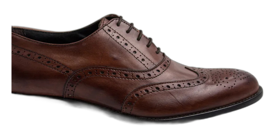 Brown Brogue Wingtip Oxford Office Shoes