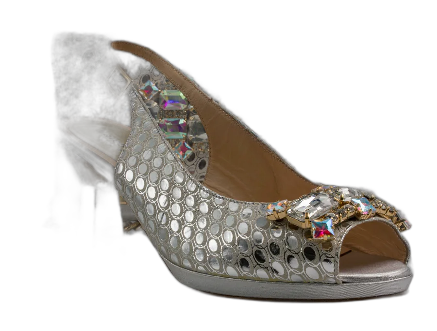 Silver Lorenza Jewel Heel Shoe and Bag Set